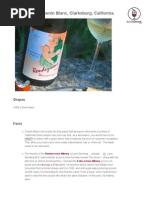 Rendez-Vous Chenin Blanc, Clarksburg, California