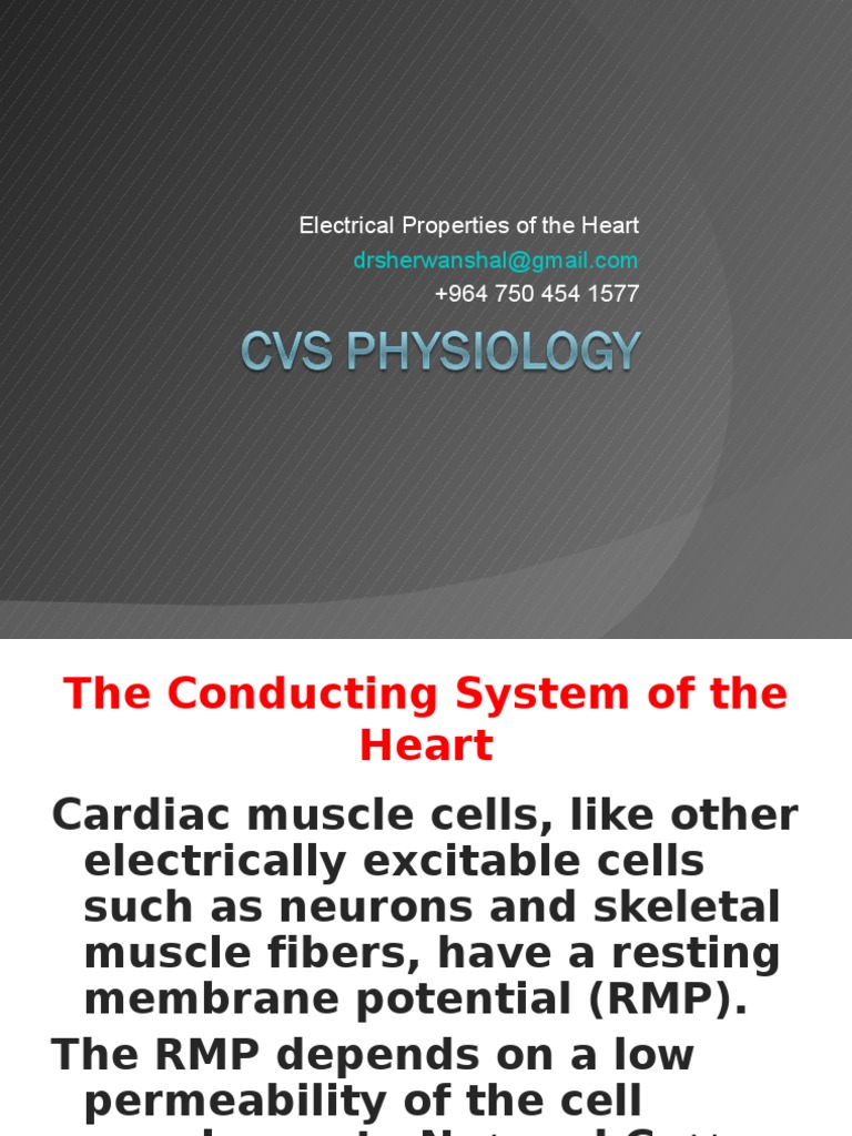 Electrical Properties of the Heart Cardiac Muscle Electrophysiology
