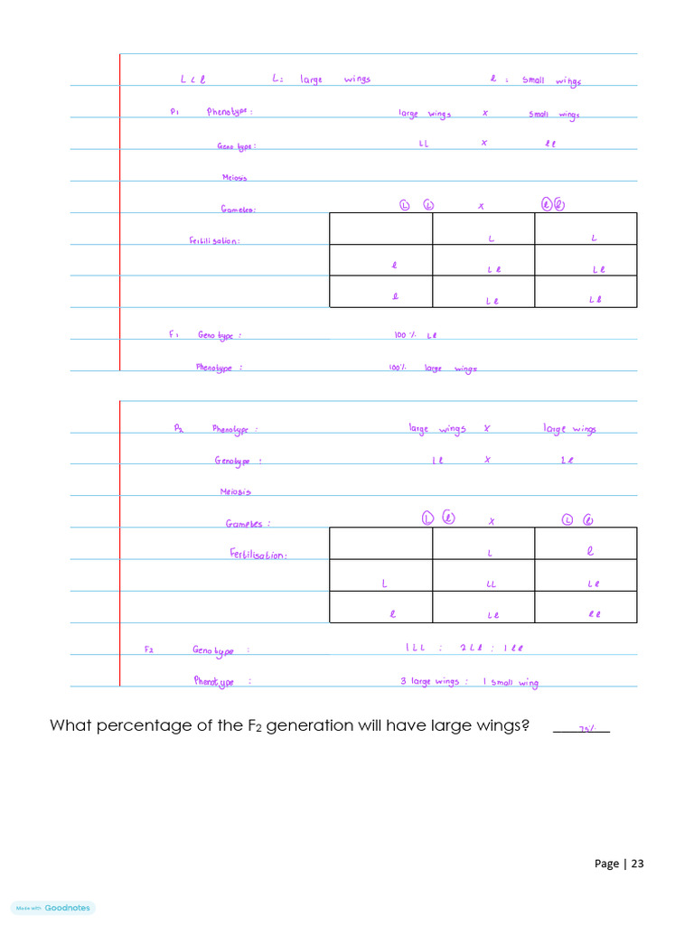 GR 12 Genetics Learner Notes 2026 Updated | PDF | Zygosity | Dominance ...