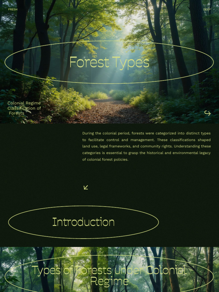 Forest Types.pptx (1) | PDF