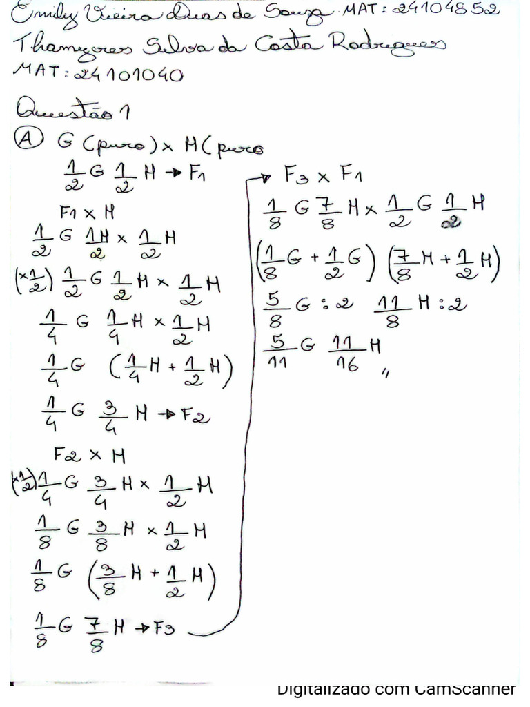 AF2 Emily Souza Integrante 1 | PDF
