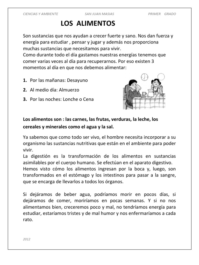 Alimentos para Niños de Primer Grado | PDF | Carne | Alimentos