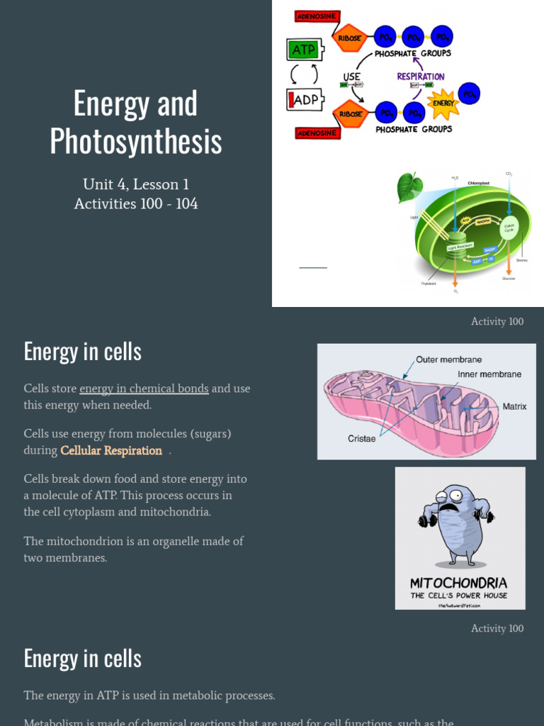 Lesson 1 - Energy and Photosynthesis | PDF | Photosynthesis | Adenosine ...