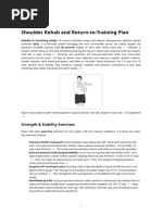 Shoulder Conditioning Program Guide | PDF | Shoulder | Elbow