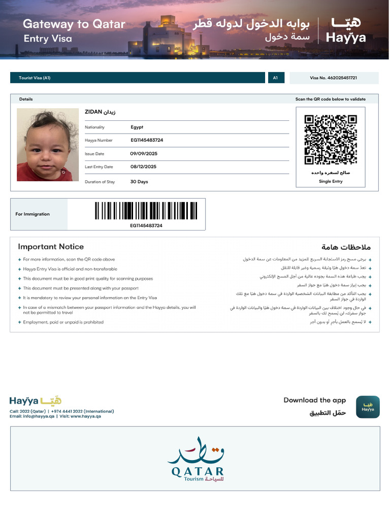 Entry Permit | PDF