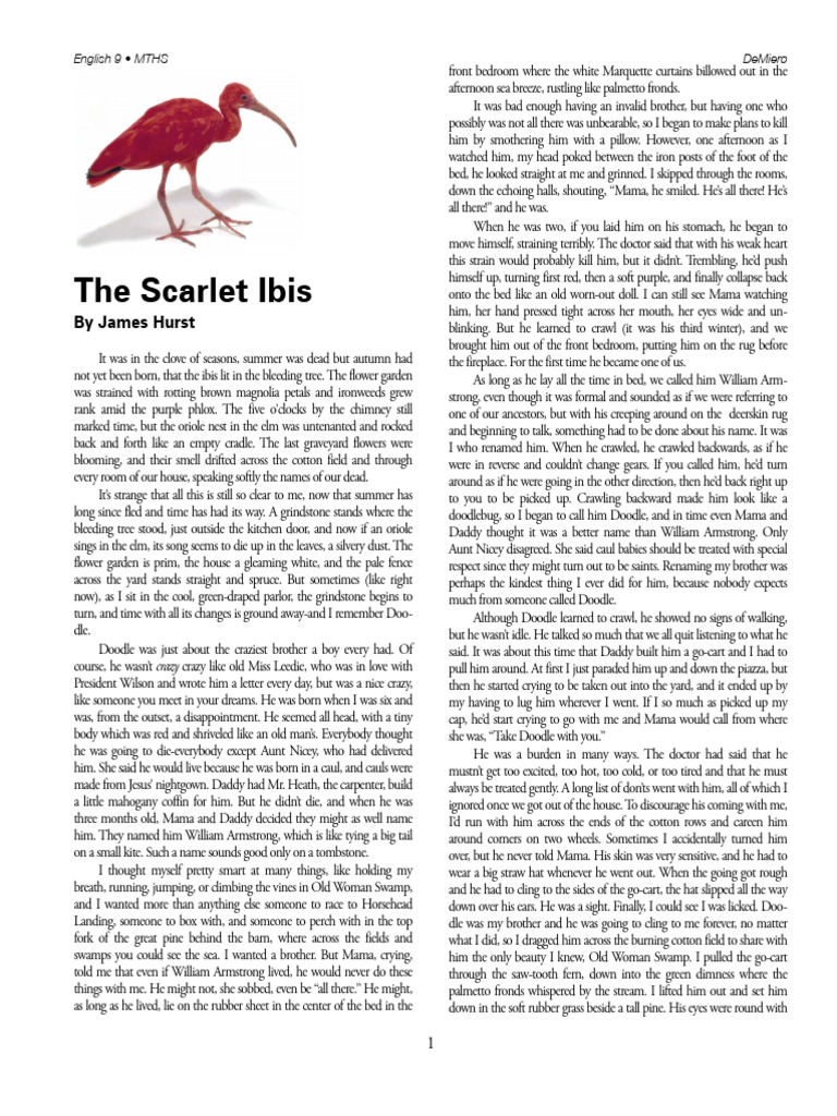 Ava Lopez the Scarlet Ibis Text | PDF