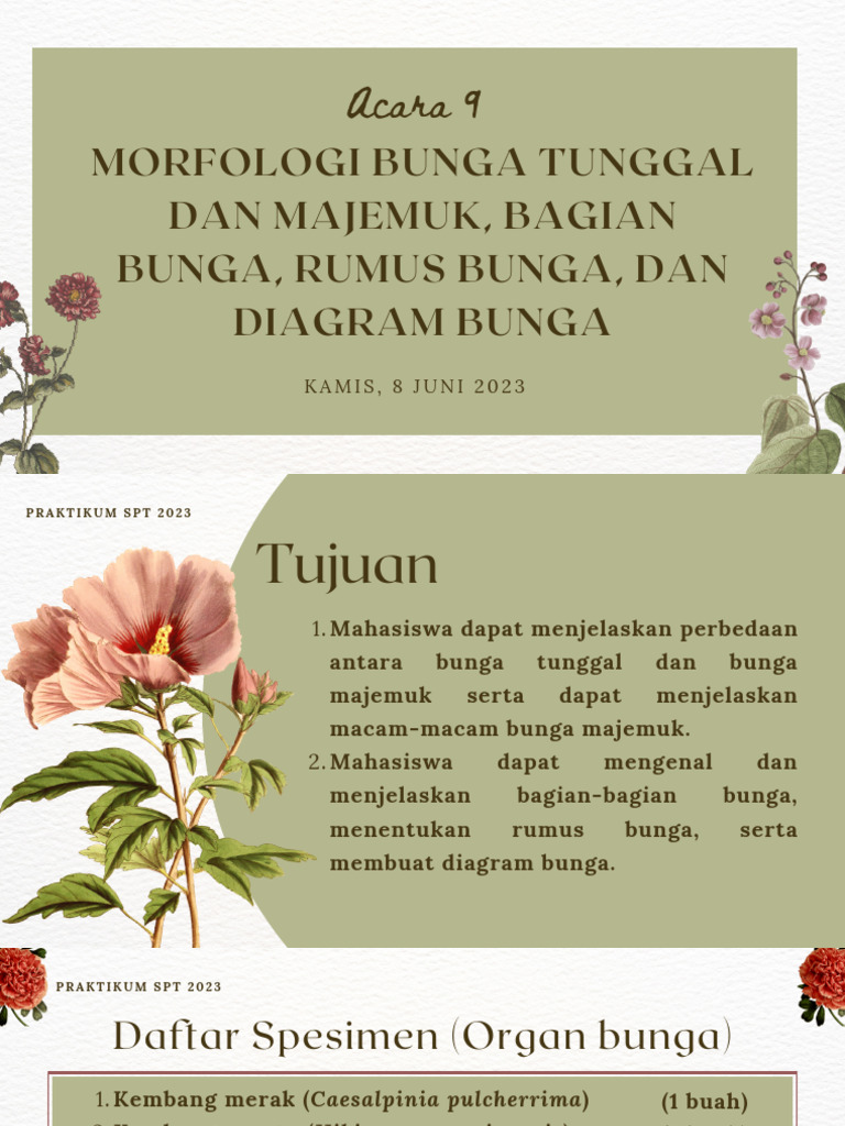 Acara 9_Morfologi Bunga Tunggal Dan Majemuk | PDF