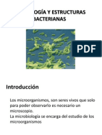 Morfologia Bacteriana