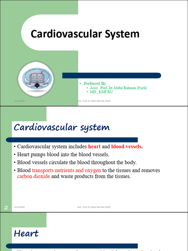 1 Lecture of CVS Physiology Introduction to Cardiovascular System | PDF ...