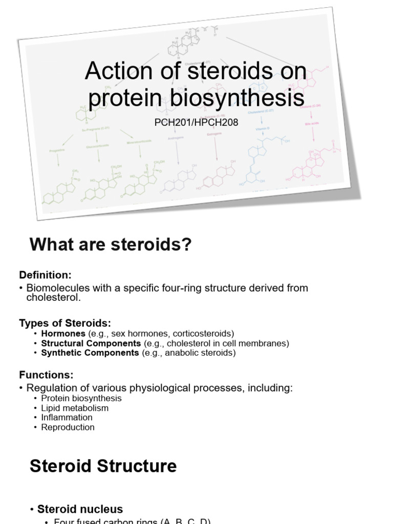 3 Action of Steroids on Protein Biosynthesis 2025 | PDF | Hormone ...
