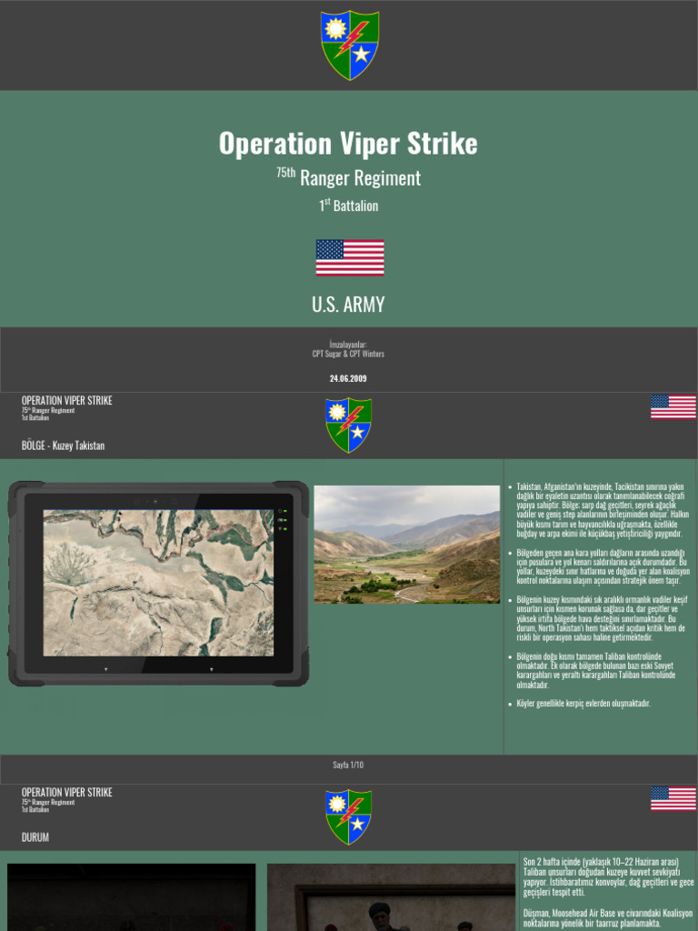 Operation Viper Strike | PDF