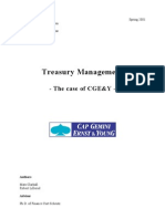 Treasury Management Thesis