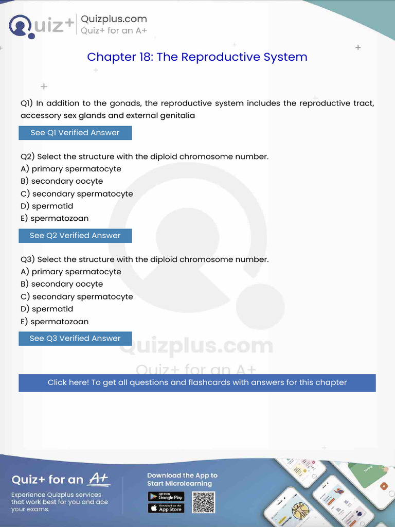 In Addition to the Gonads the Reproductive System Includes the ...