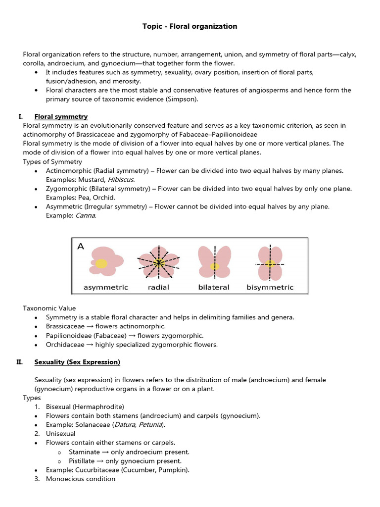Assignment Floral Organization | PDF | Flowers | Petal