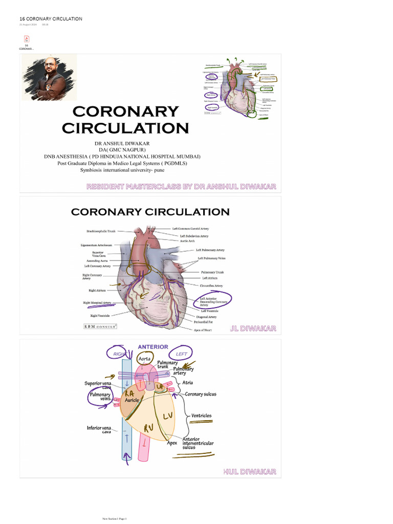16. Coronary Circulation.pdf | PDF