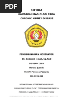 Download Referat Gambaran Radiologis pada Chronic Kidney Disease by Handra Juanda SN103317695 doc pdf