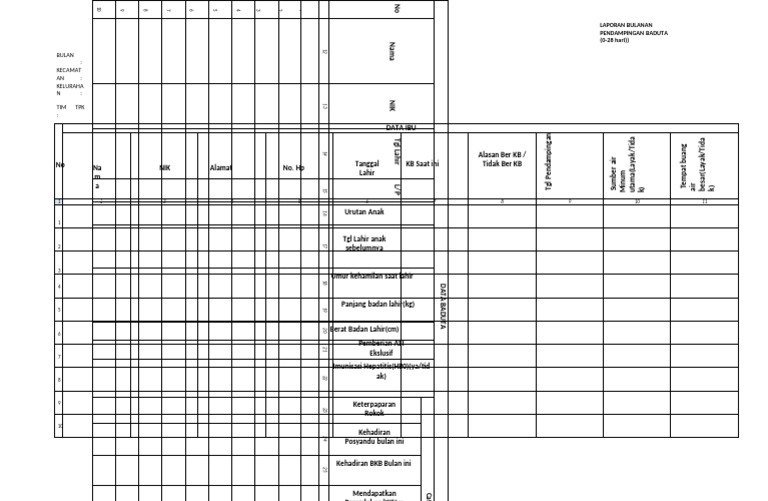 Form Tpk Baduta (0 Hari - 28 Hari)[1] | PDF