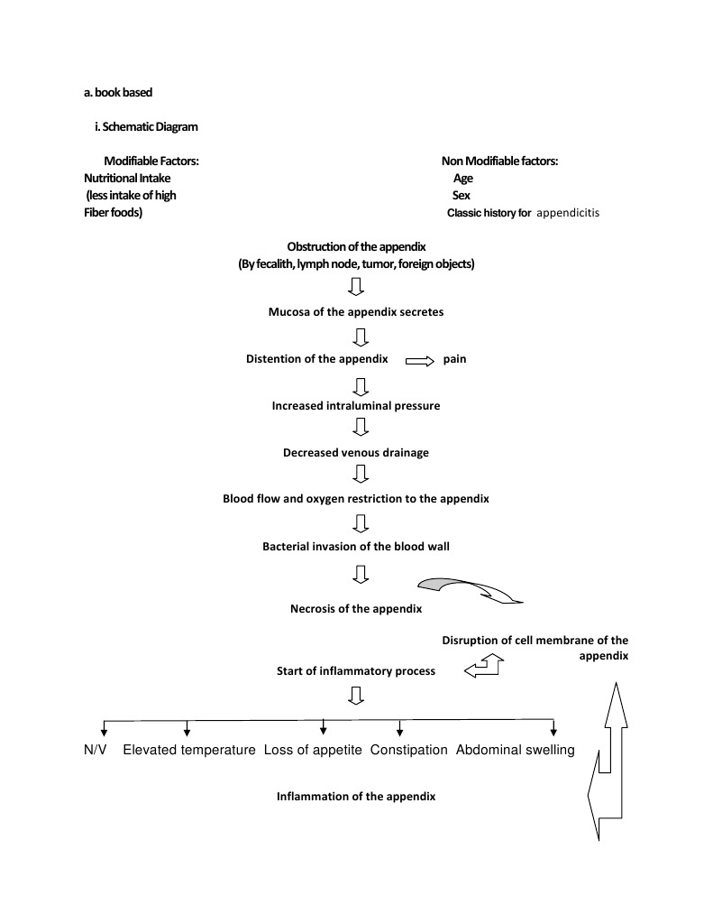 Case Study Appendicitis PDF Inflammation Medical Specialties