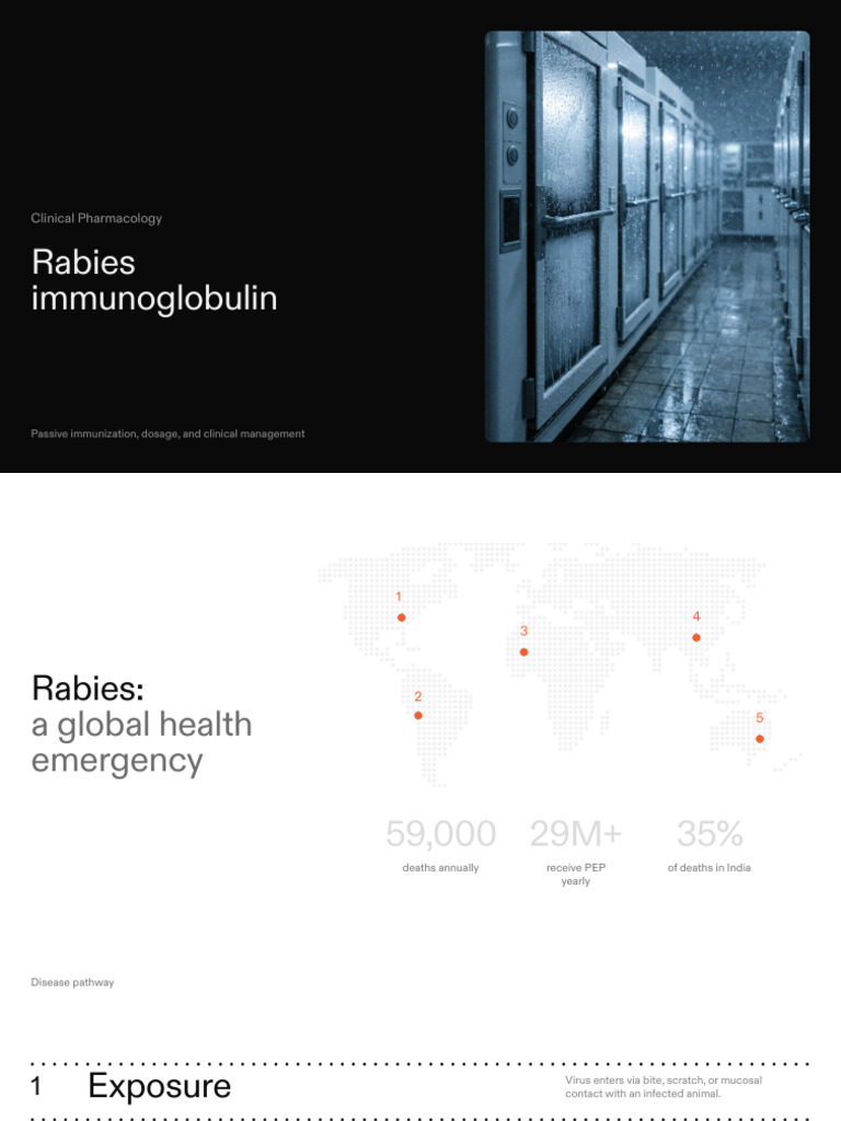 Rabies Immunoglobulin Rig a Clinical Overview | PDF | Rabies | Public ...