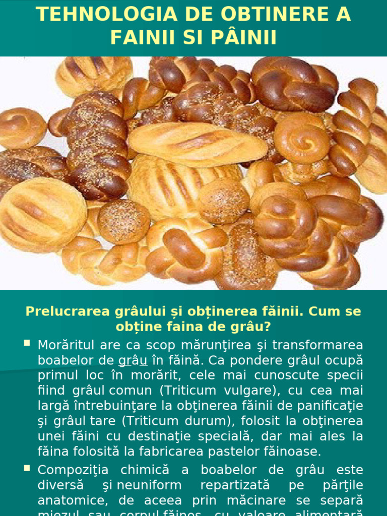 Procesul Tehnologic de Fabricare a Painii Modulul III Tehnologii ...