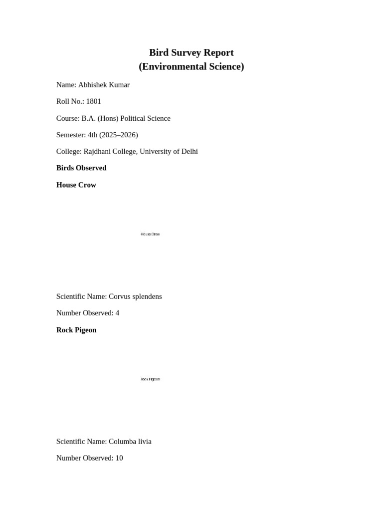 Bird Survey Final With Images-1 | PDF