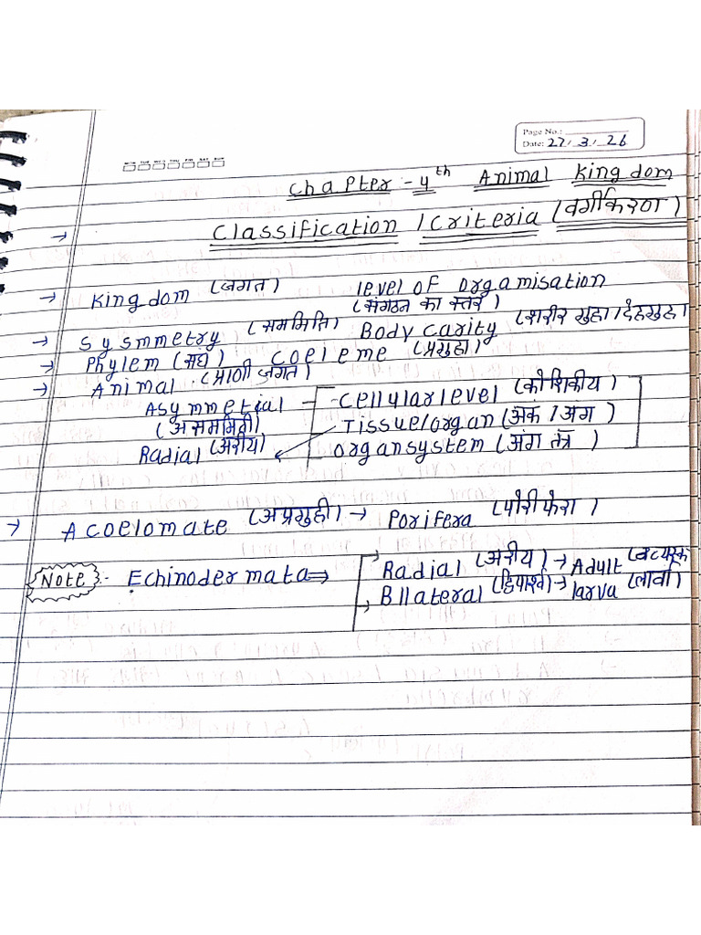 Class 10 notes | PDF