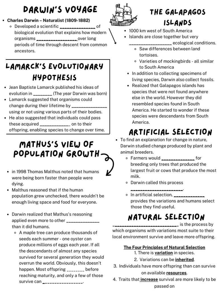 Theory of Evolution Notes | PDF | Evolution | Natural Selection