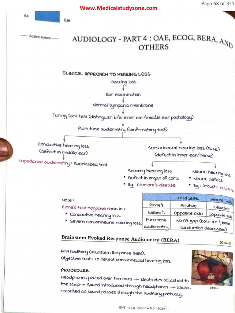 ENT MARROW PART 2 | PDF