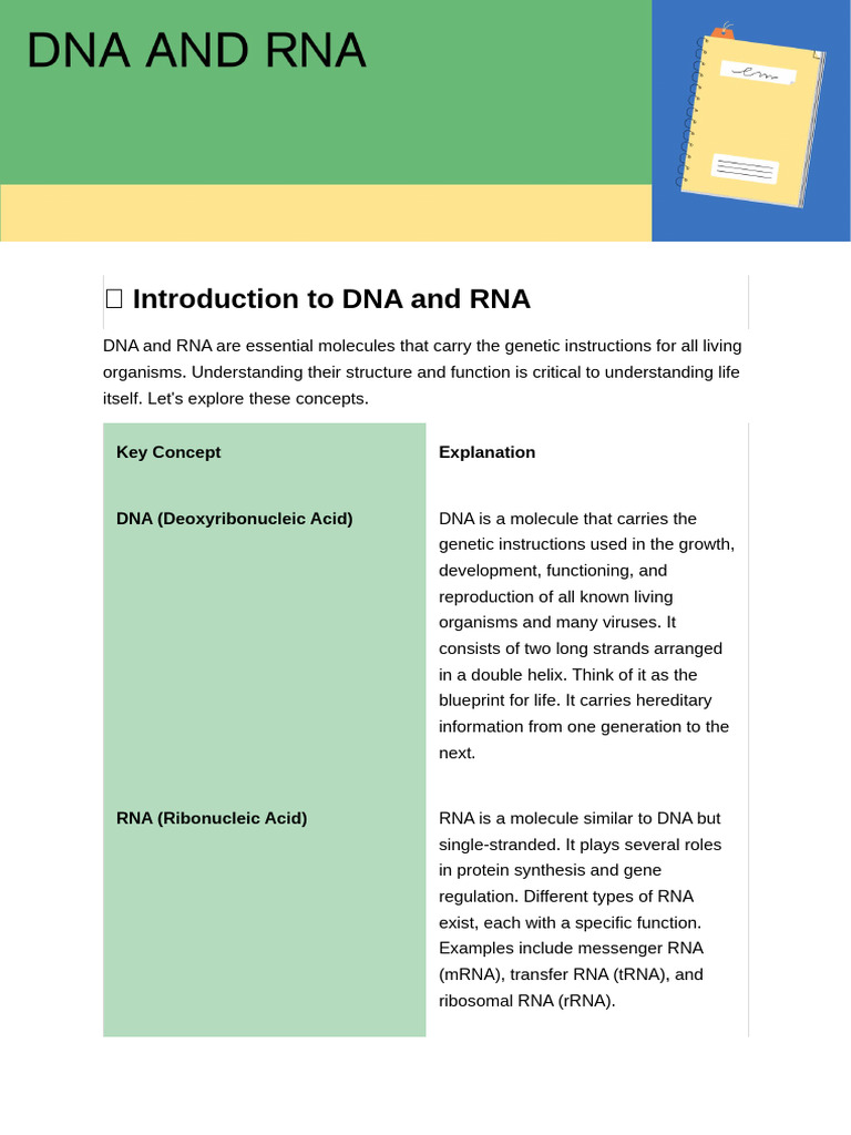 DNA RNA Revision | PDF | Rna | Dna