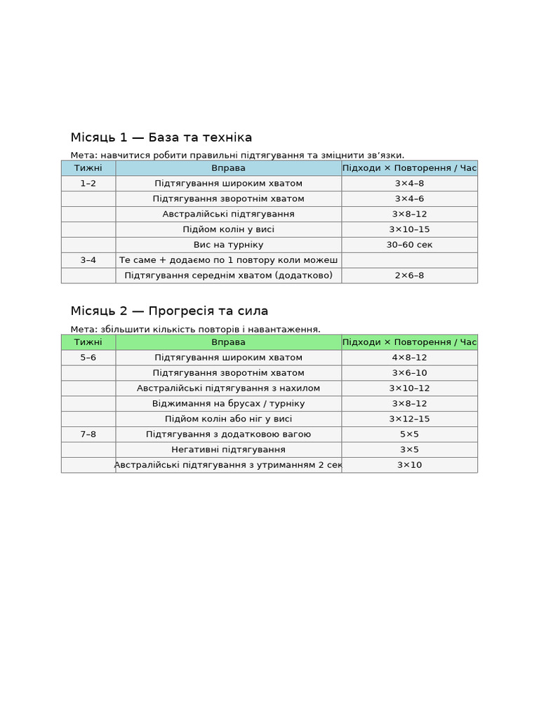 Programa Turnik Spina Grudi Biceps | PDF