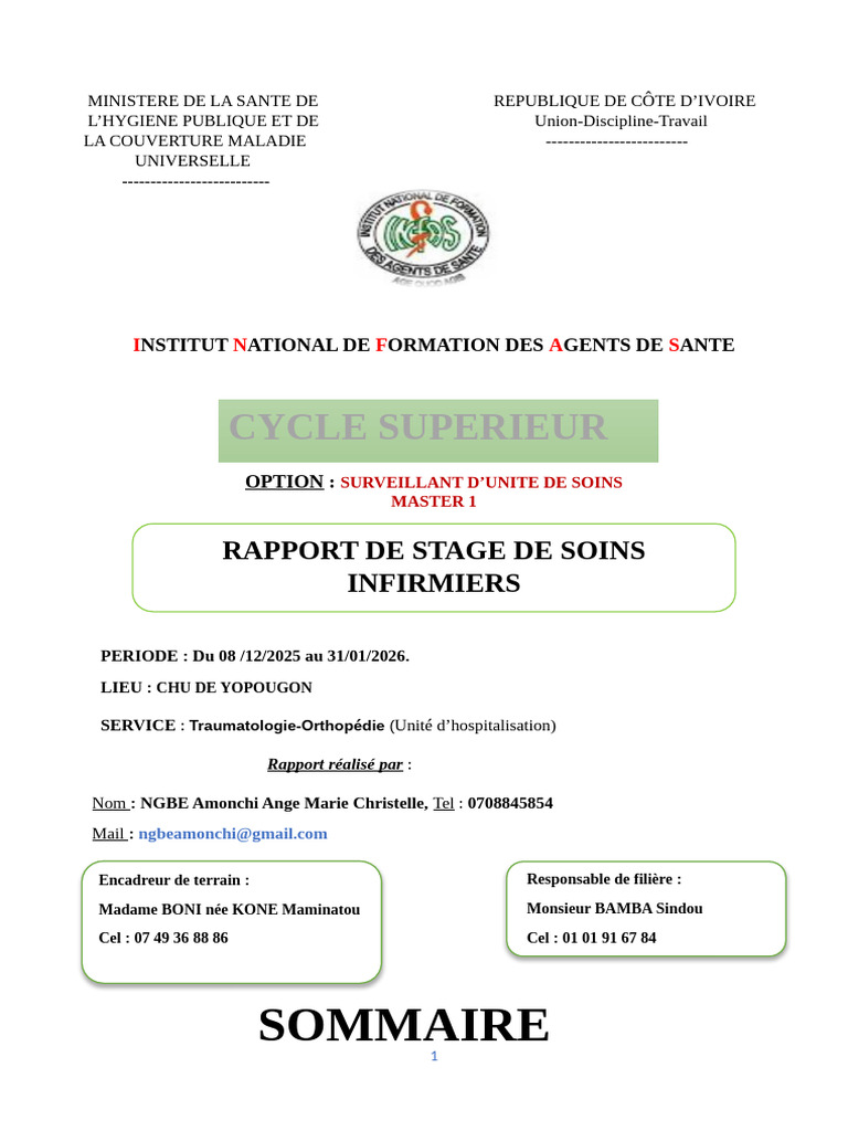 Rapport de Stage Soins Infirmier Chu Yop Ngbe A. | PDF | Allaitement ...