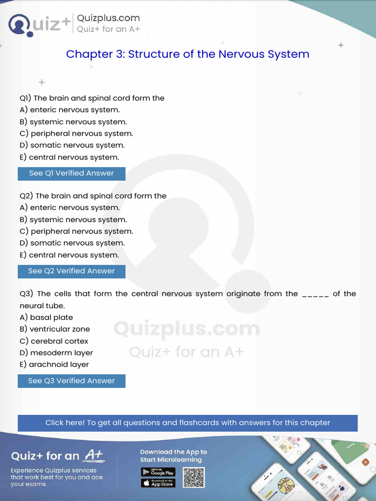 The Brain and Spinal Cord Form The | PDF | Nervous System | Action ...