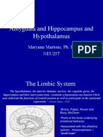 Limbic System lecture, 2008