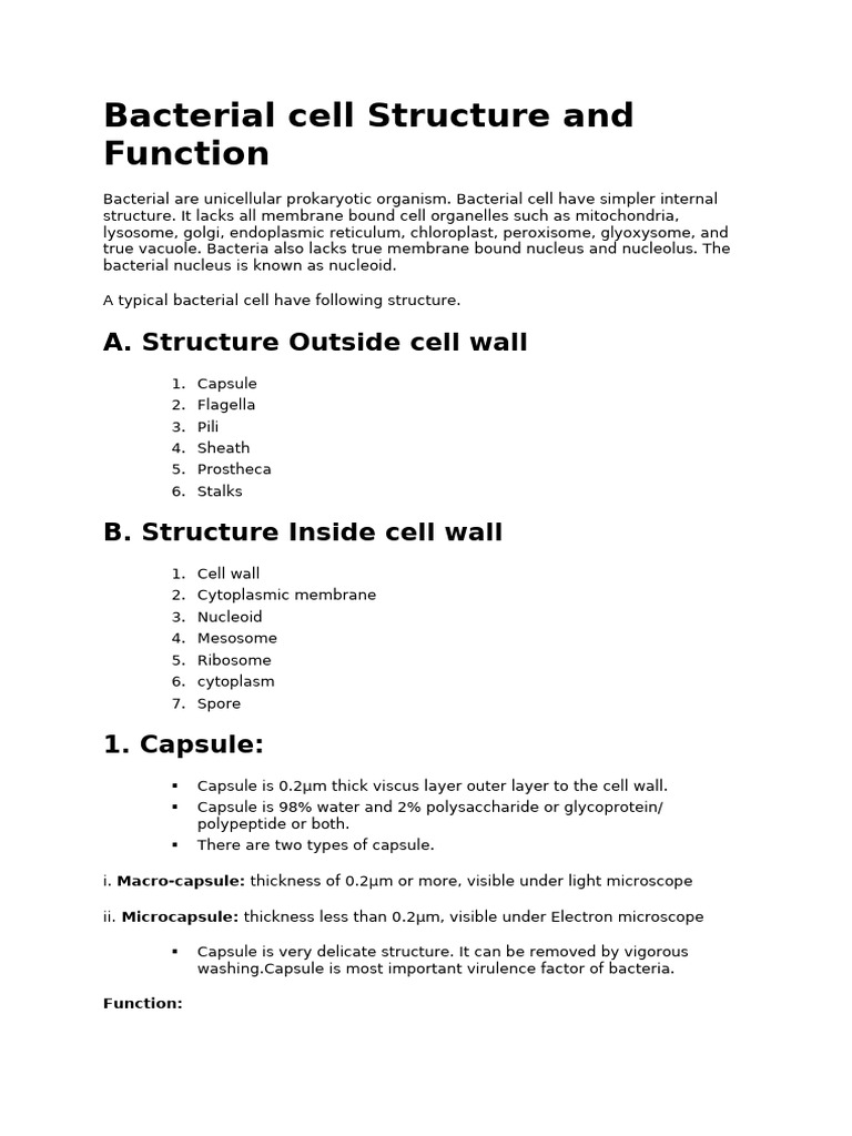 Bacterial Cell Structure and Function | PDF | Gram Positive Bacteria ...