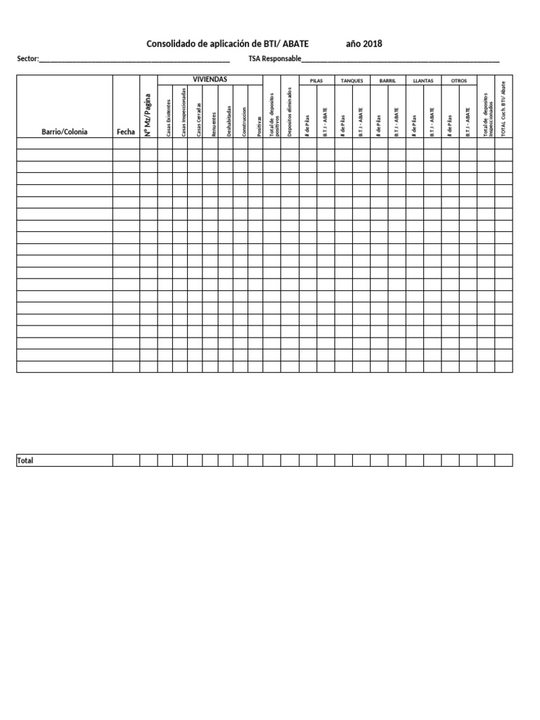 4a. Formato Consolidado BTI | PDF