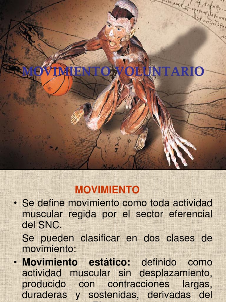 Movimiento Voluntario