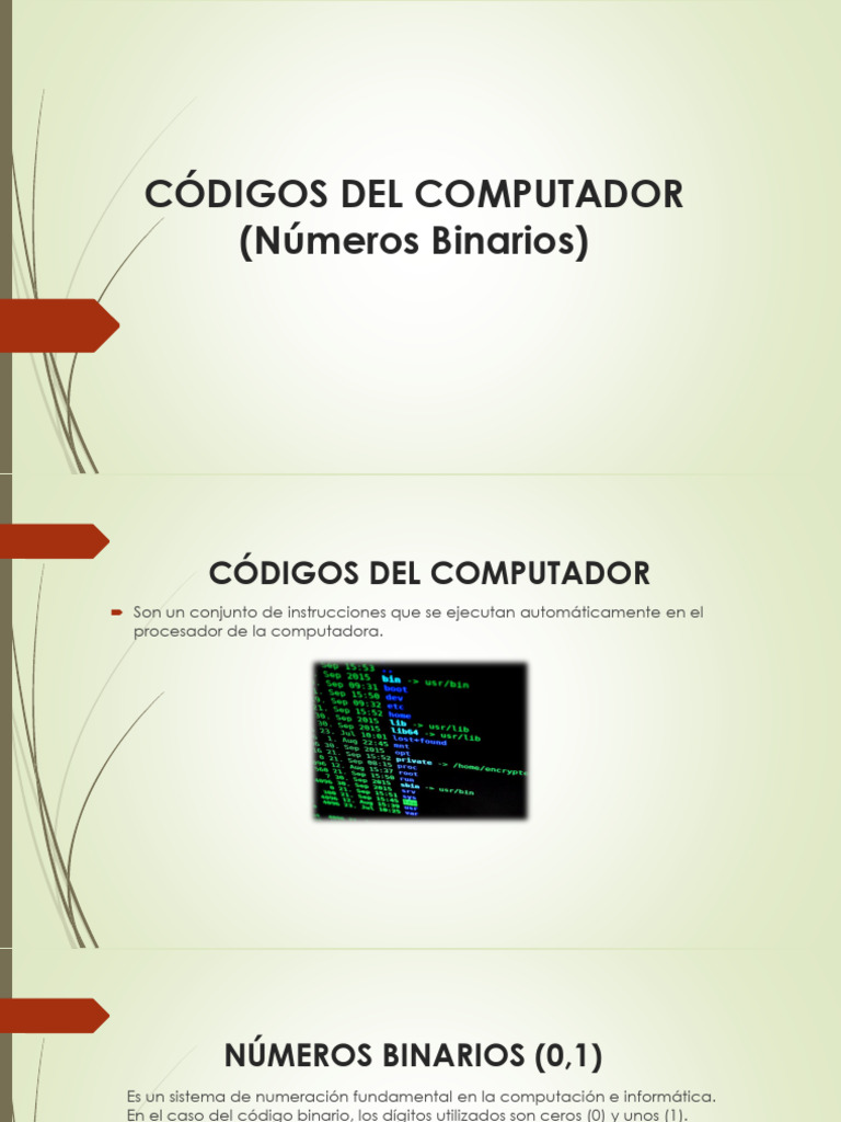 Códigos Del Computador | PDF