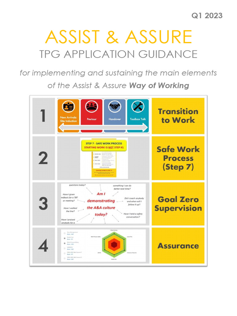 Assist and Assure Program 1 | PDF | Safety | Leadership