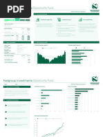 FNB Horizon Series Growth Fund Overview | PDF | Investment Fund | Investing