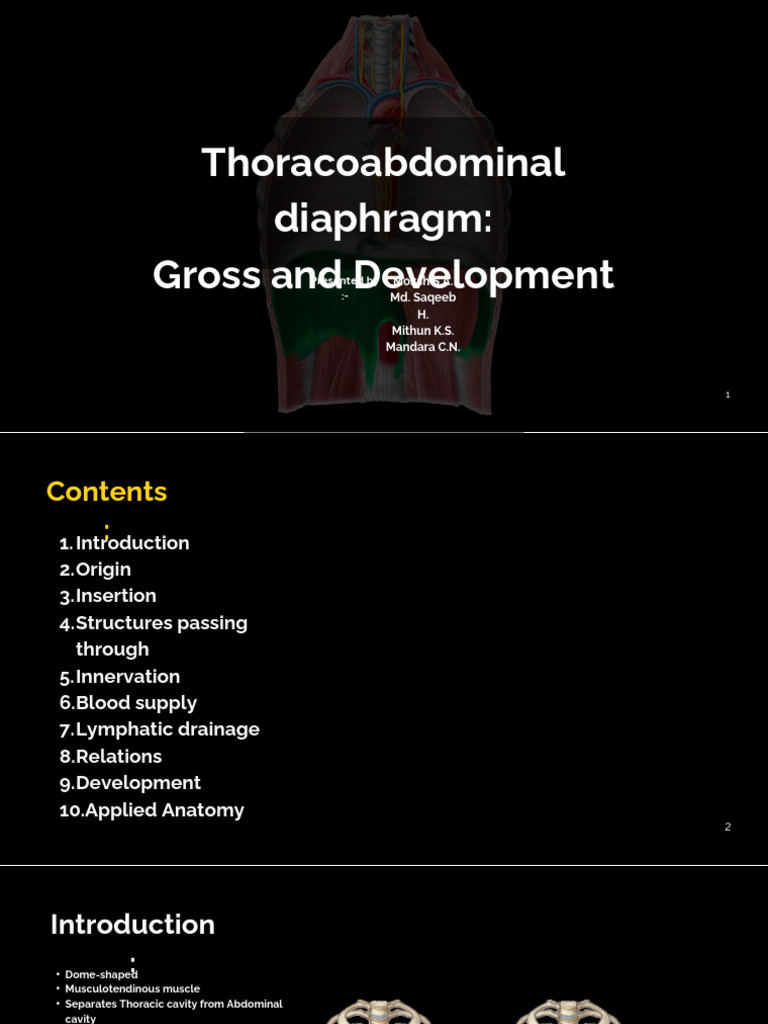 Thoracoabdominal diaphragm Gross and Development_20250801_055630_0000 ...