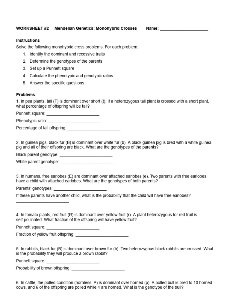 Worksheet #2 | PDF | Genotype | Dominance (Genetics)