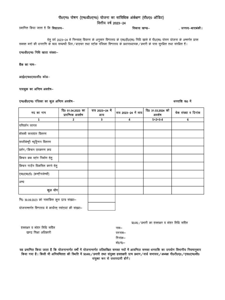 mdm audit format | PDF