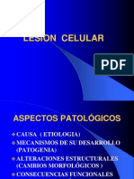Lesion Celular y Acumulacion