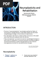 Principles of Neuroplasticity Explained | PDF | Neuroplasticity ...