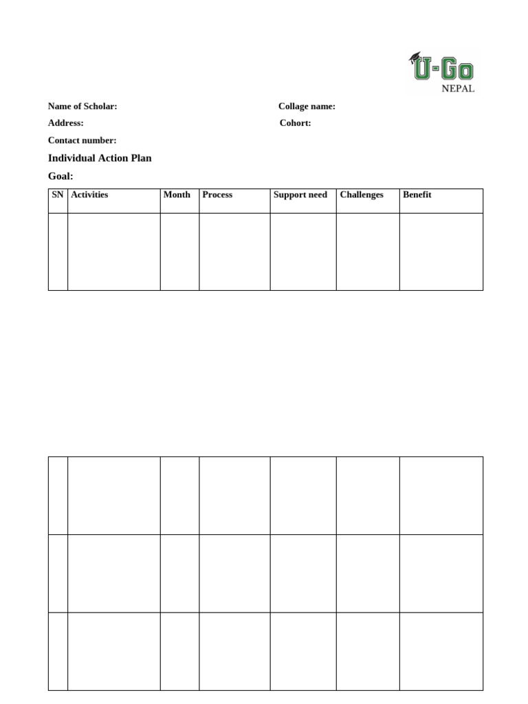 Action Plan Worksheet | PDF
