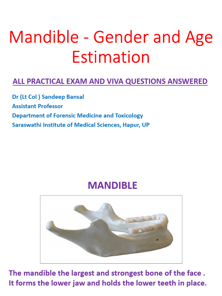Part 3 - Mandible - Gender and Age Estimation | PDF