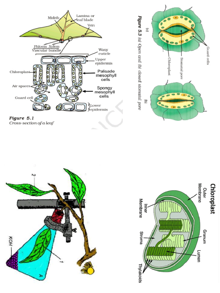 PDFGallery_20260412_135557 | PDF