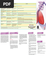 Trixeo Aerosphere Usage and Safety Guide | PDF | Chronic Obstructive ...