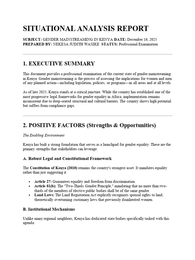 Situational Analysis Report | PDF | Gender Mainstreaming | Gender