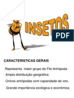 INSETOS